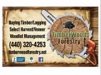 Timberwood Forestry image 2